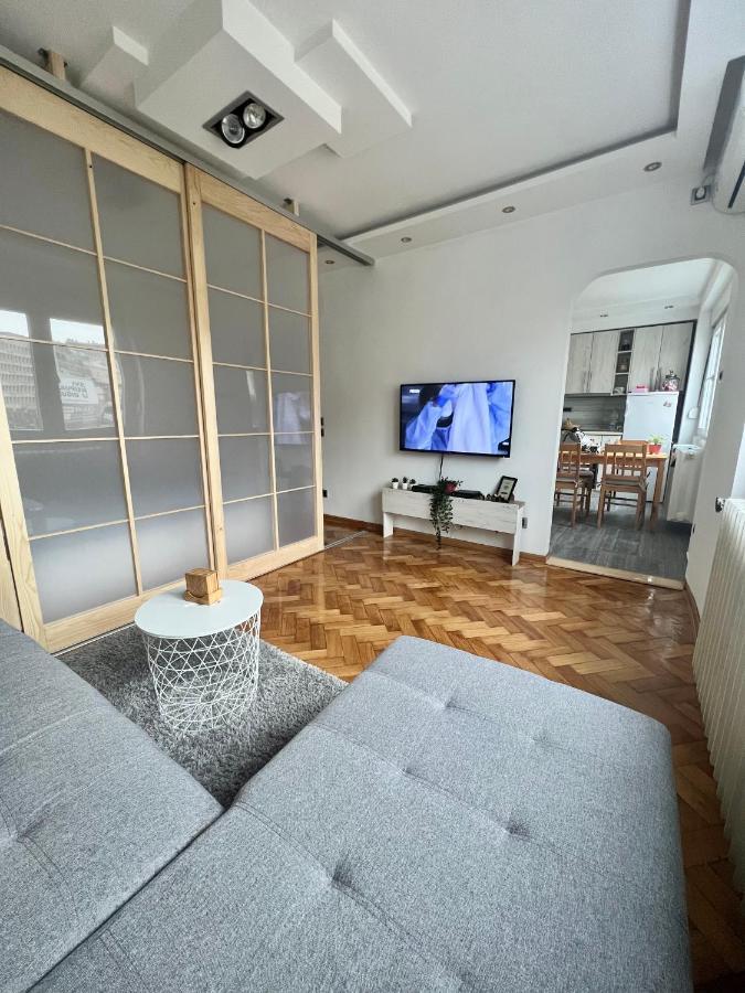 Comfortable Apartment In City Hub Belgrad Dış mekan fotoğraf