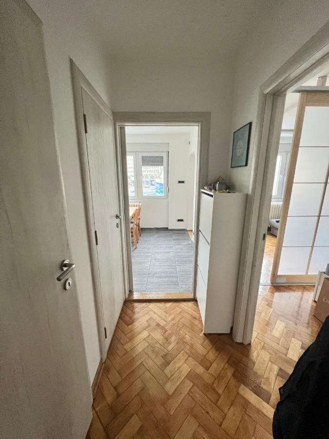 Comfortable Apartment In City Hub Belgrad Dış mekan fotoğraf