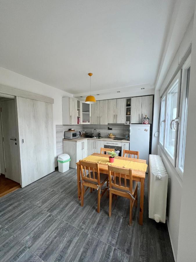 Comfortable Apartment In City Hub Belgrad Dış mekan fotoğraf