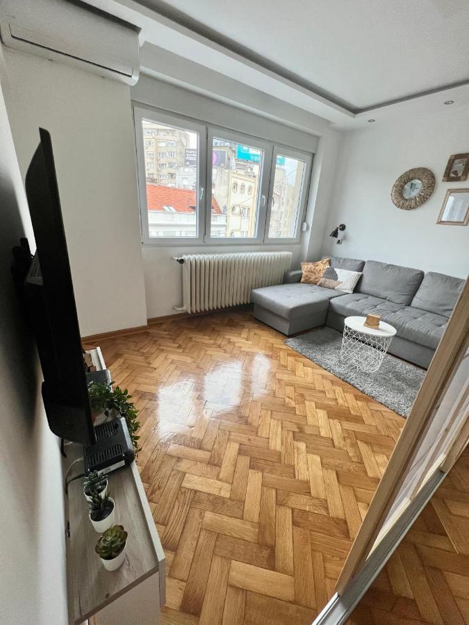 Comfortable Apartment In City Hub Belgrad Dış mekan fotoğraf