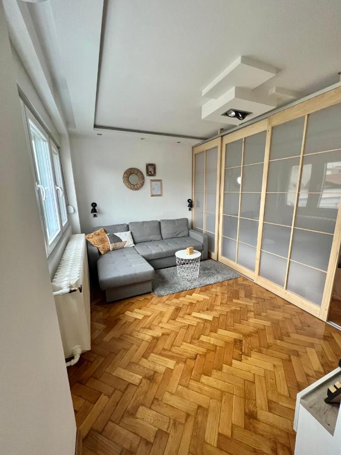 Comfortable Apartment In City Hub Belgrad Dış mekan fotoğraf